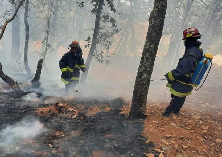 Emiten recomendaciones para prevenir y actuar ante incendios forestales