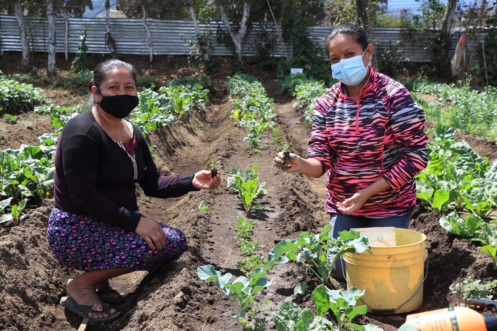 MAGA impulsa huertos comunitarios en Chimaltenango
