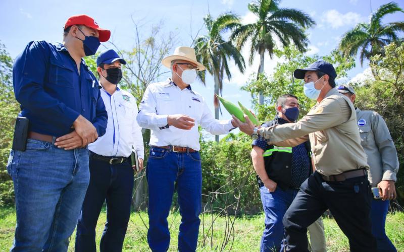 Impulsan producción de semillas mejoradas para combatir inseguridad alimentaria