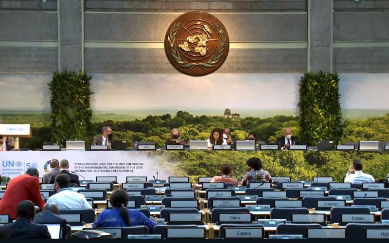Guatemala participa en Asamblea de Naciones Unidas sobre Medio Ambiente