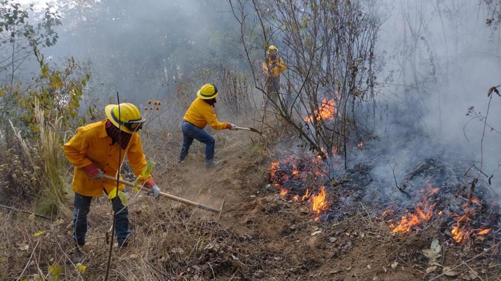 Conred mantiene acciones contra incendios forestales en Totonicapán