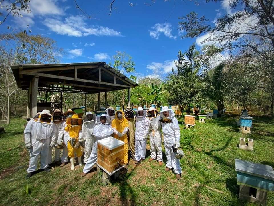 MAGA impulsa producción de miel en Petén