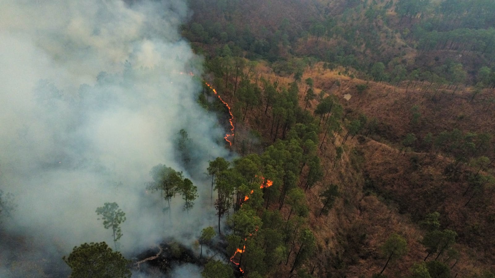 Autoridades reiteran llamado a prevenir incendios, ante muerte de bombero forestal