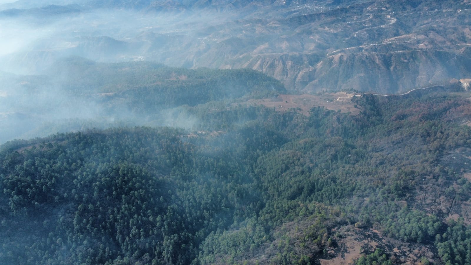 Extinguen incendio forestal en Chiché