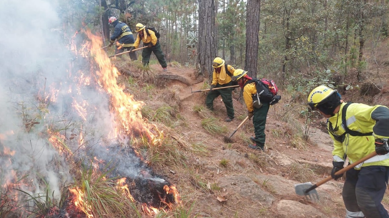 Continúa combate de incendios forestales en Chimaltenango y Quiché