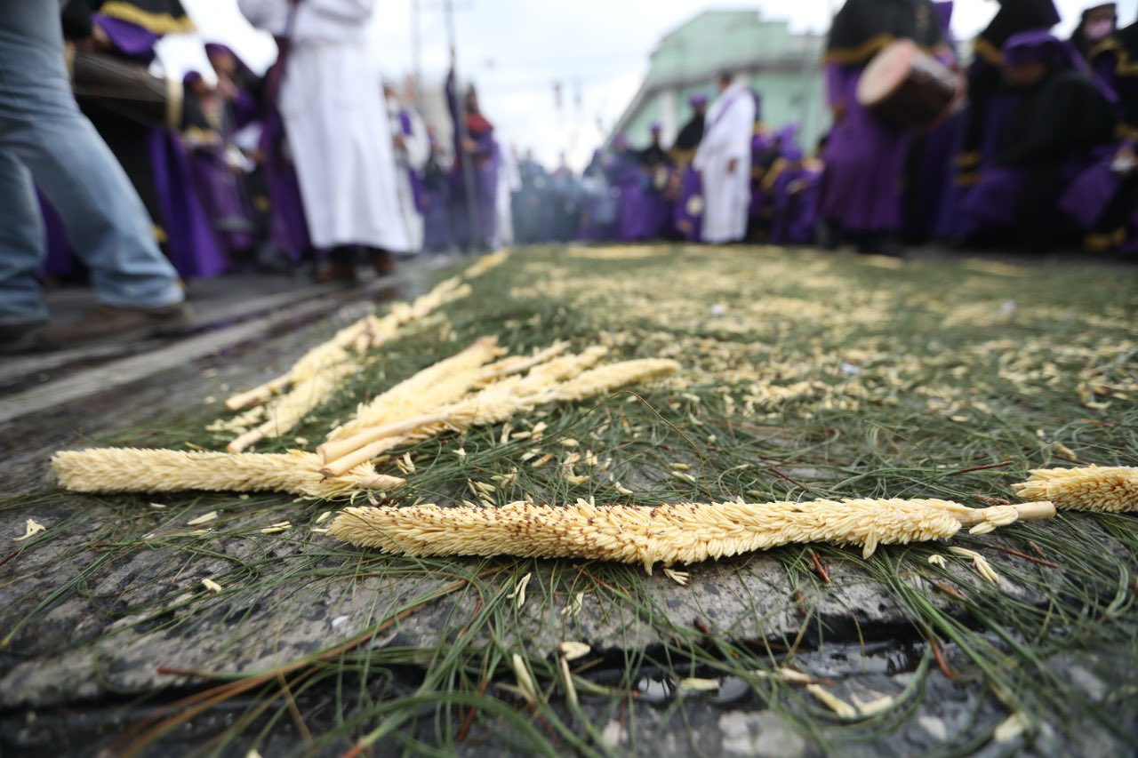 Más de 2 mil voluntarios elaboran alfombra en avenida La Reforma