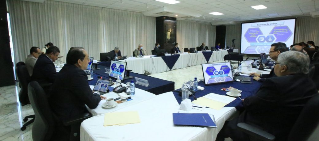 MAGA presenta avances del programa Estipendios para la Recuperación de Suelos y Apoyo a Agroinsumos