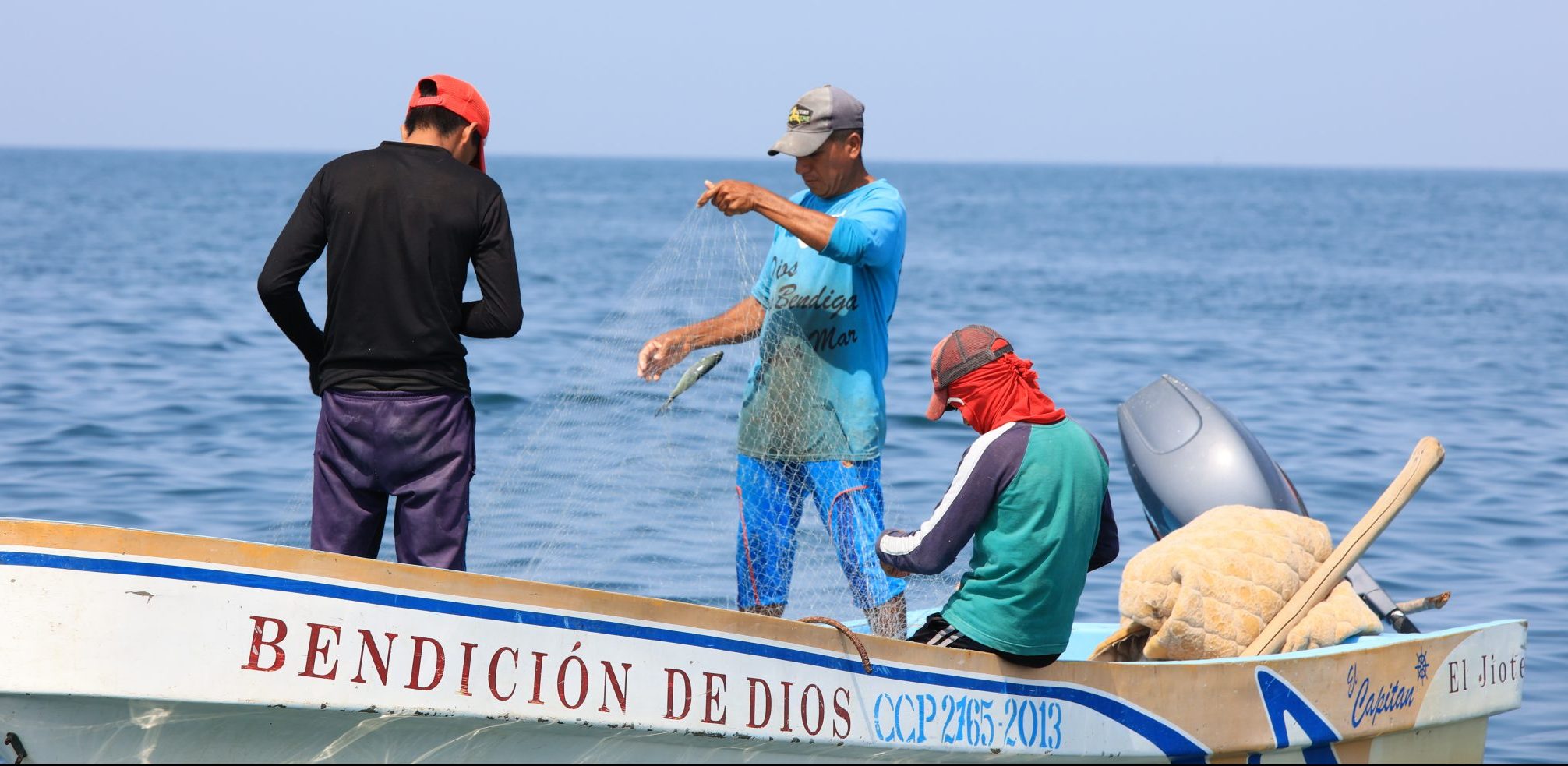 Alianza interinstitucional impulsa conservación de especies marinas en litoral Pacífico