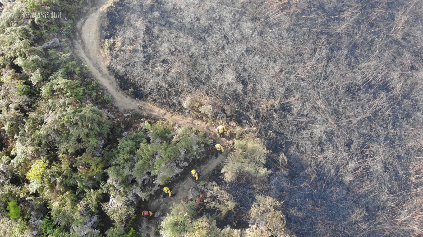 Autoridades gestionan apoyo para familias afectadas por incendio forestal en Huité