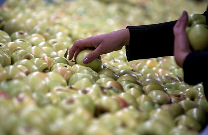 Precios de los alimentos alcanzan su mayor nivel desde 1990, según la FAO