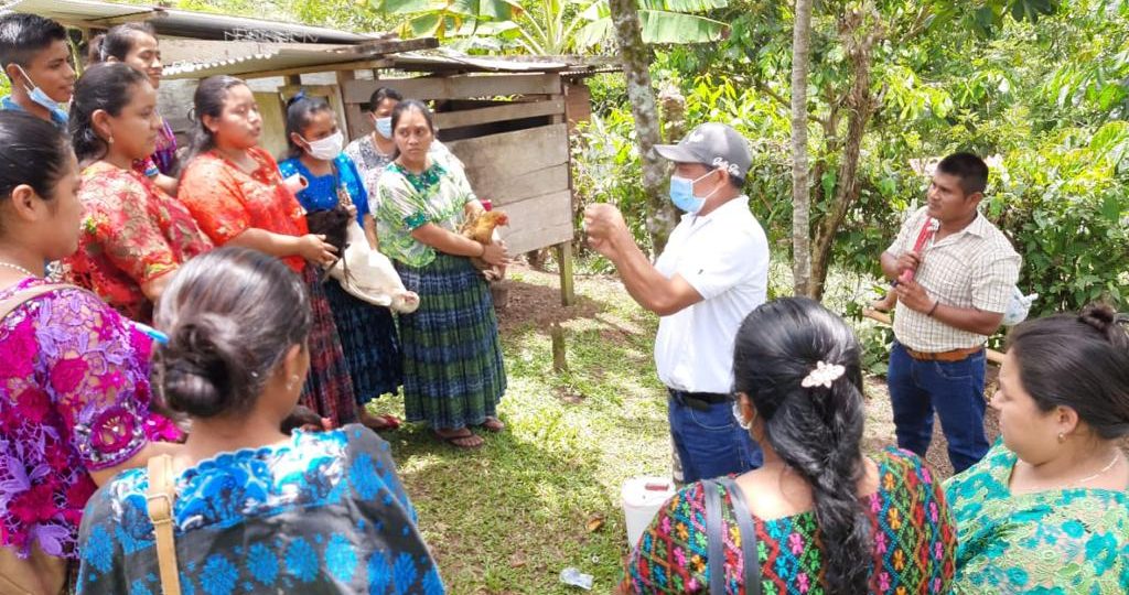 Líderes comunitarios de Alta Verapaz se convierten en promotores pecuarios