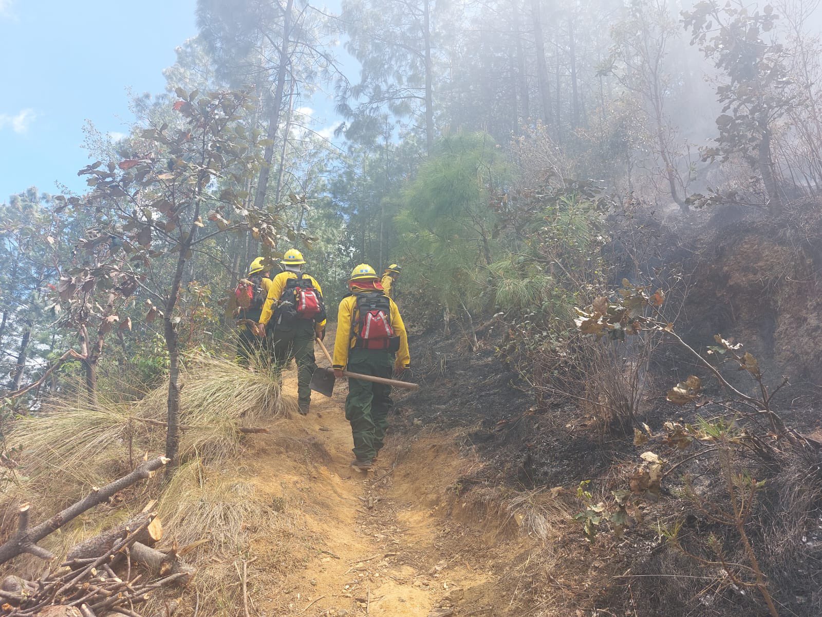 Los cuerpos de socorro mantienen acciones para atender los incendios forestales.