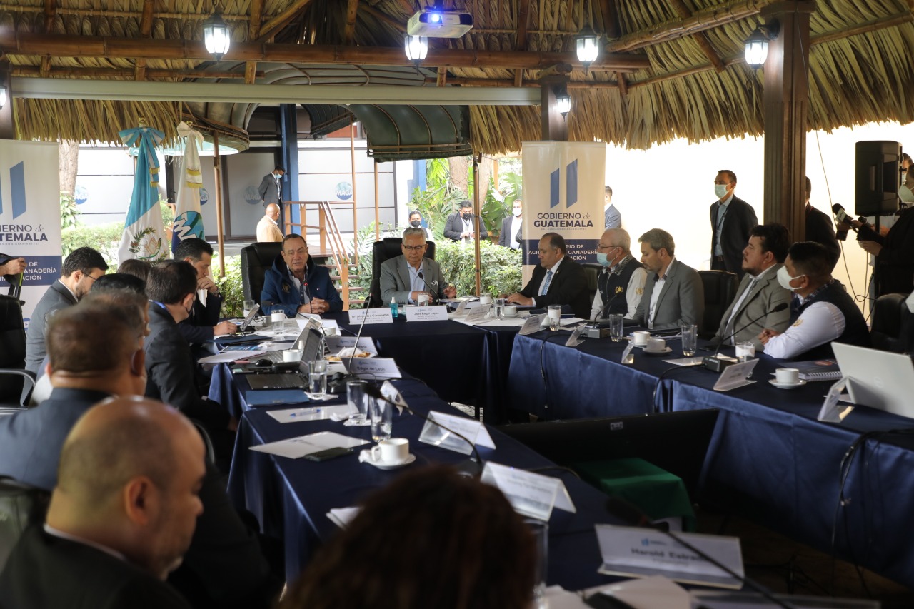 Ejecutivo presentará iniciativa para reformas a la Ley de Pesca