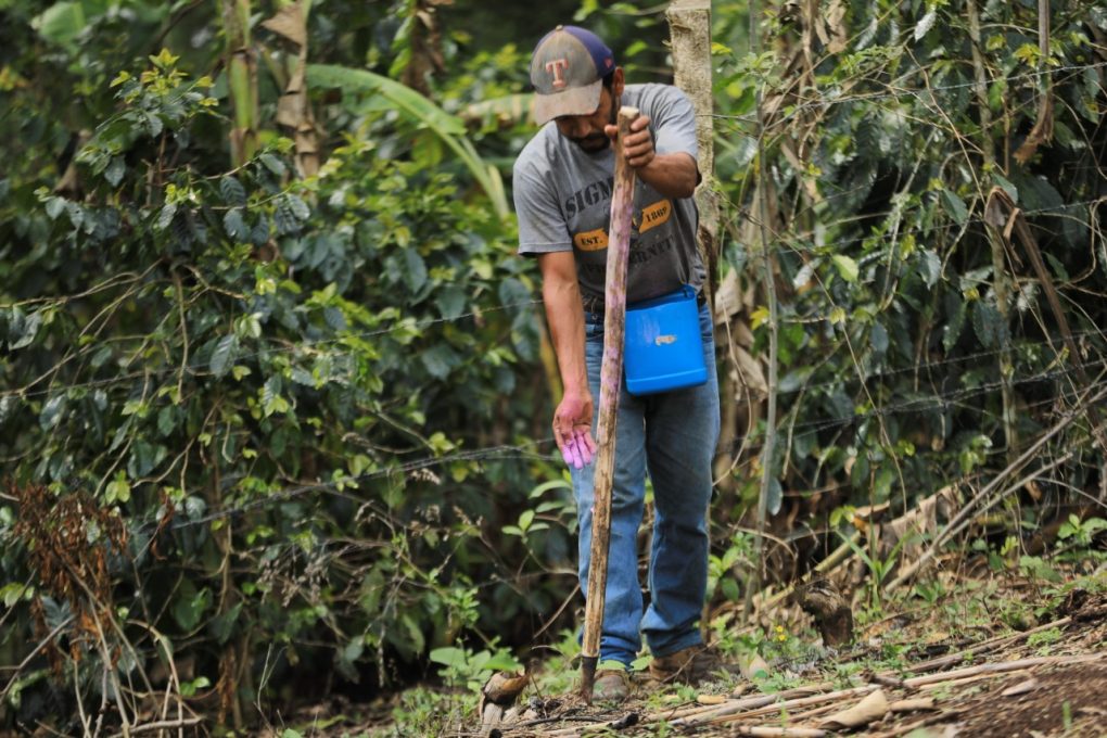 Lanzan en Santa Rosa programa Estipendios para la Recuperación de Suelos