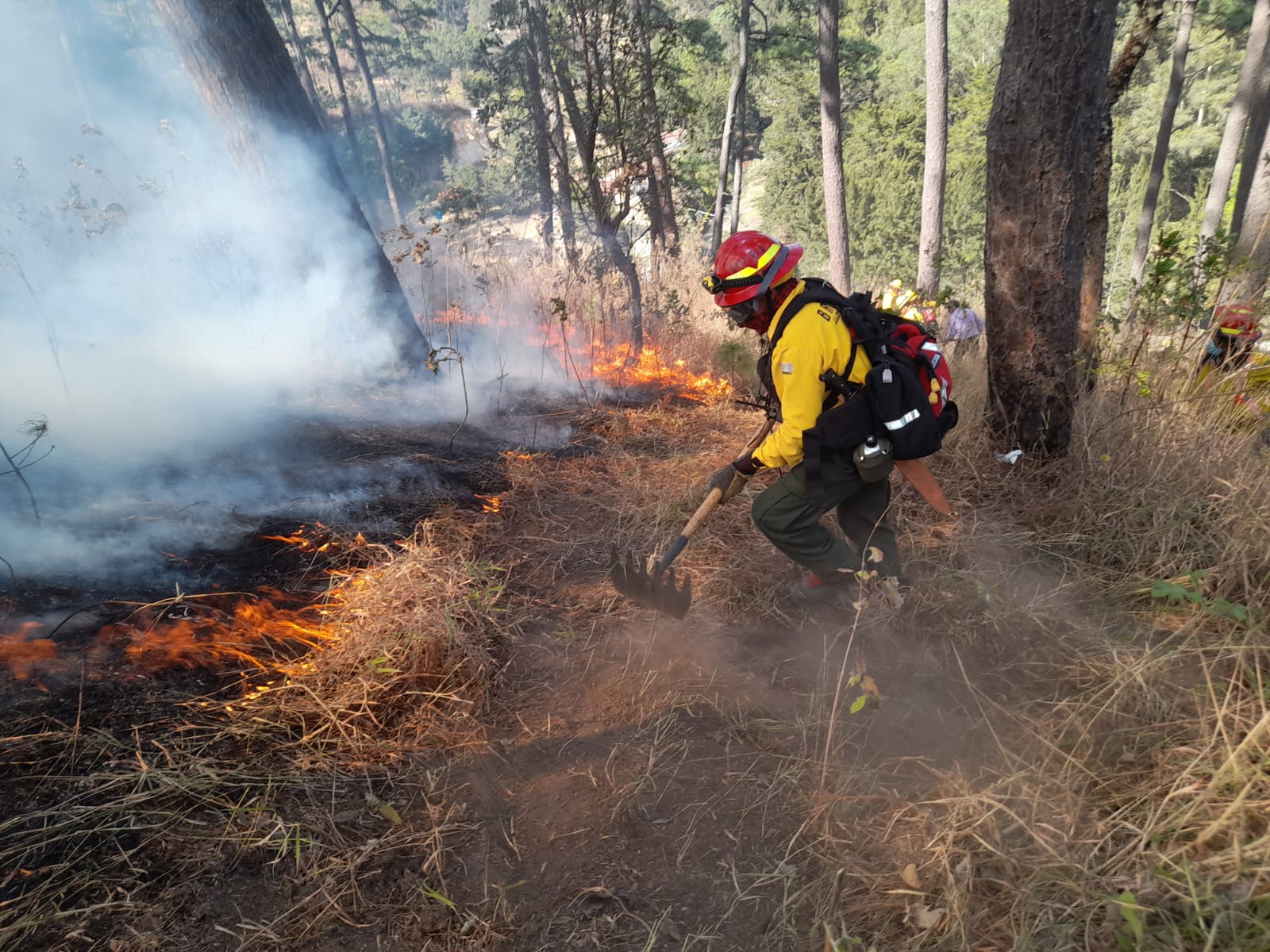 Guatemala conmemora el Día Internacional del Bombero Forestal