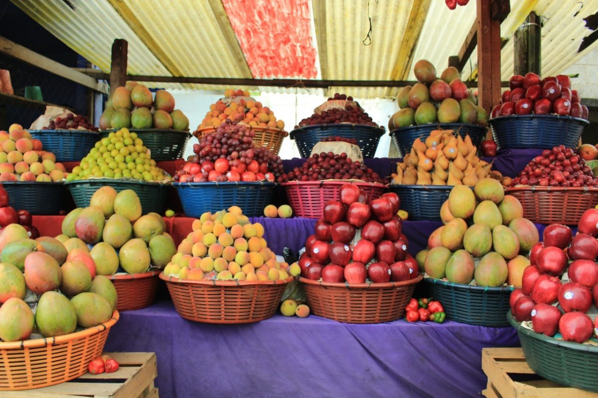 Impulsan la fruticultura nacional
