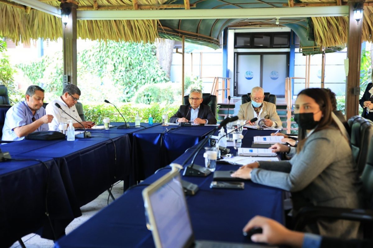 Otorgan financiamiento a proyectos para fortalecer producción de cacao y arveja