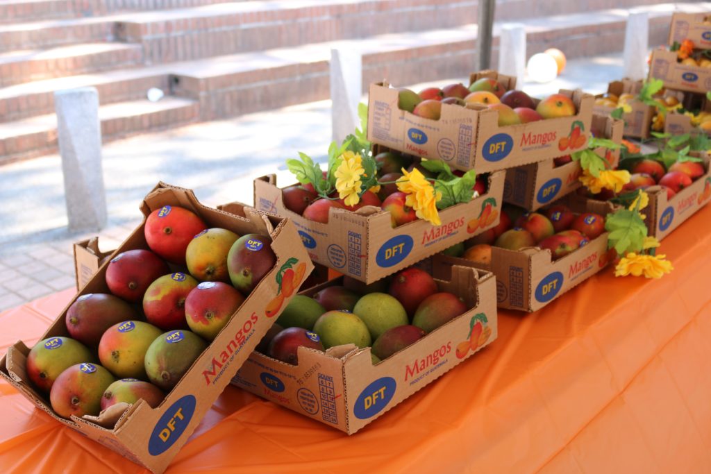 Anuncian Festival del Mango a realizarse este fin de semana