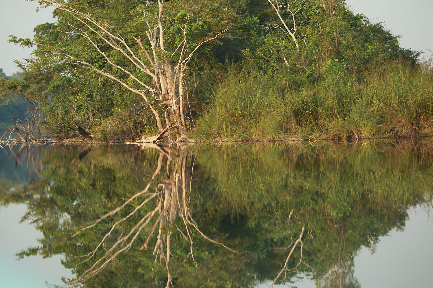 Nuestros recursos naturales son vitales
