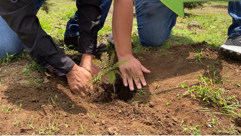 Promueven participación en programa Sembrando Huella, en Totonicapán