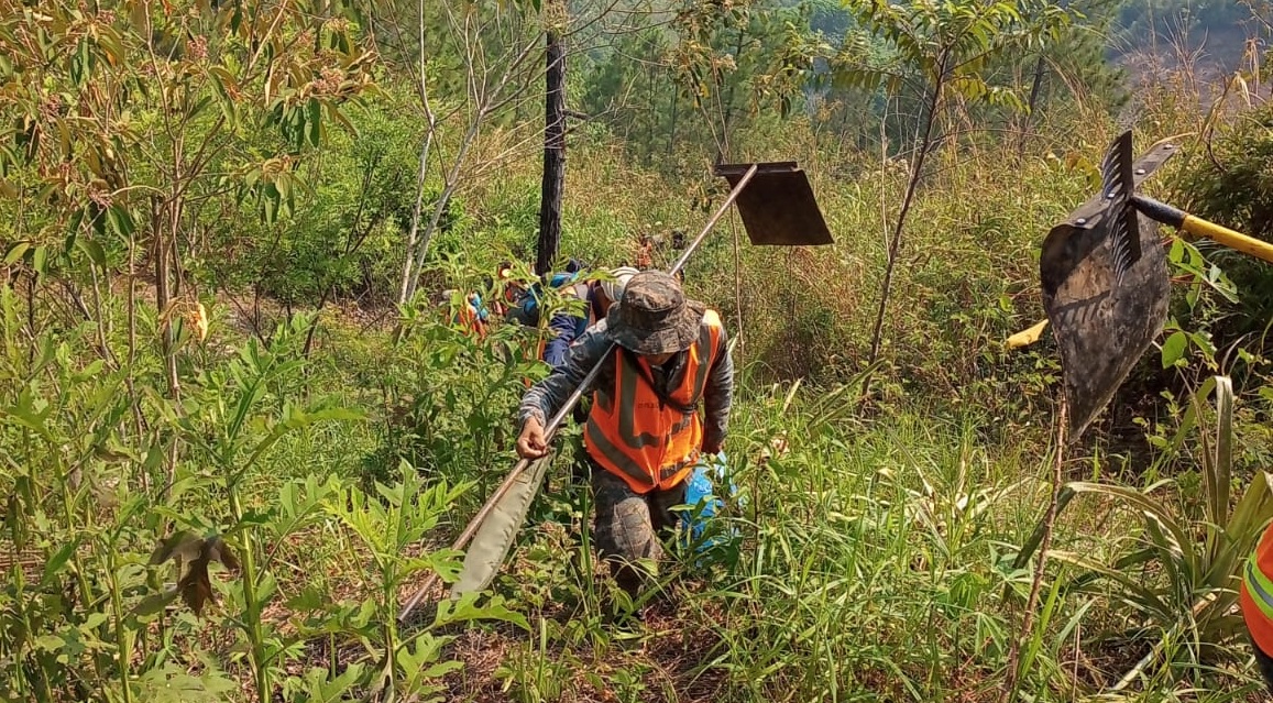 Alta Verapaz activa brigada contra incendios forestales
