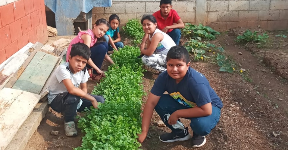 Huertos pedagógicos refuerzan la educación y seguridad alimentaria en Zacapa