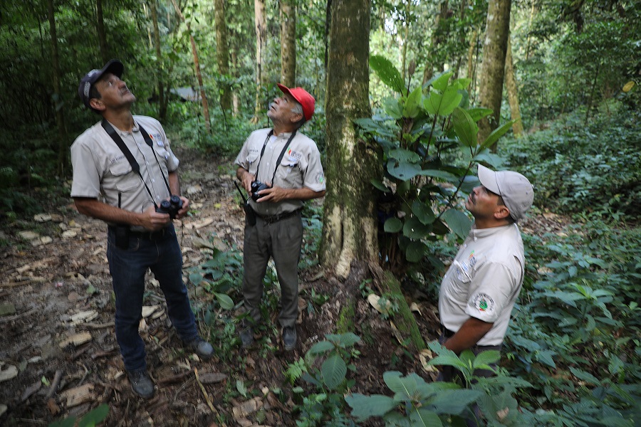 Registran especies priorizadas de aves, mamíferos y anfibios en monitoreo biológico