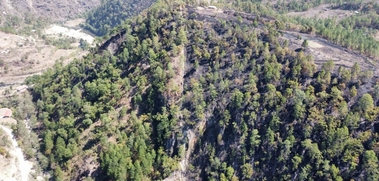 Inab desembolsará 17.6 millones de quetzales para pago de incentivos forestales en Tejutla