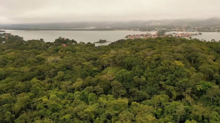 Institucionalizan parque arqueológico Tayasal