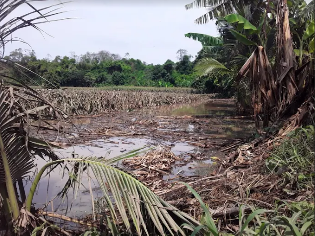 MAGA emite recomendaciones agroclimáticas