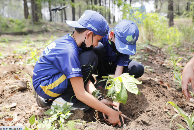 Plantarán 250 mil arbolitos en 14 municipios de la cuenca del Lago de Amatitlán