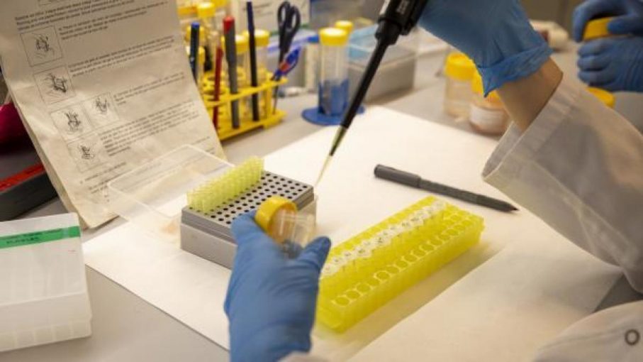 Suben a 39 los casos de viruela del mono en Portugal