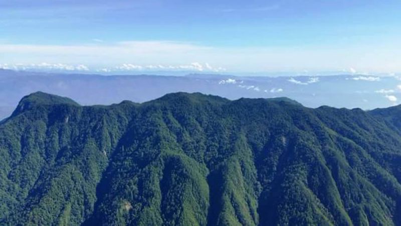 Alianza reforzará protección de sierra de Las Minas
