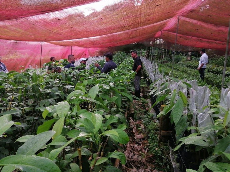 Organizaciones apoyarán innovación de agricultura en América