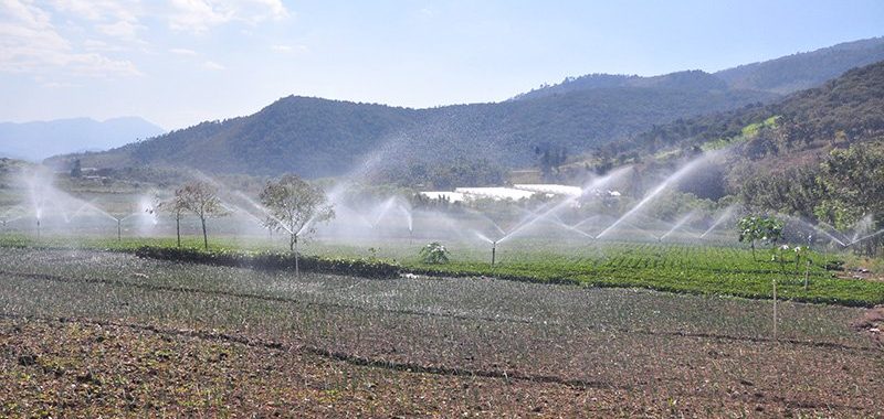 Sistema de riego fortalecerá la producción agrícola en Champerico