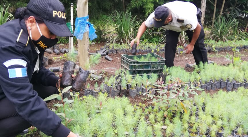 PNC pone en marcha “Un árbol por mi comunidad” en Zacapa