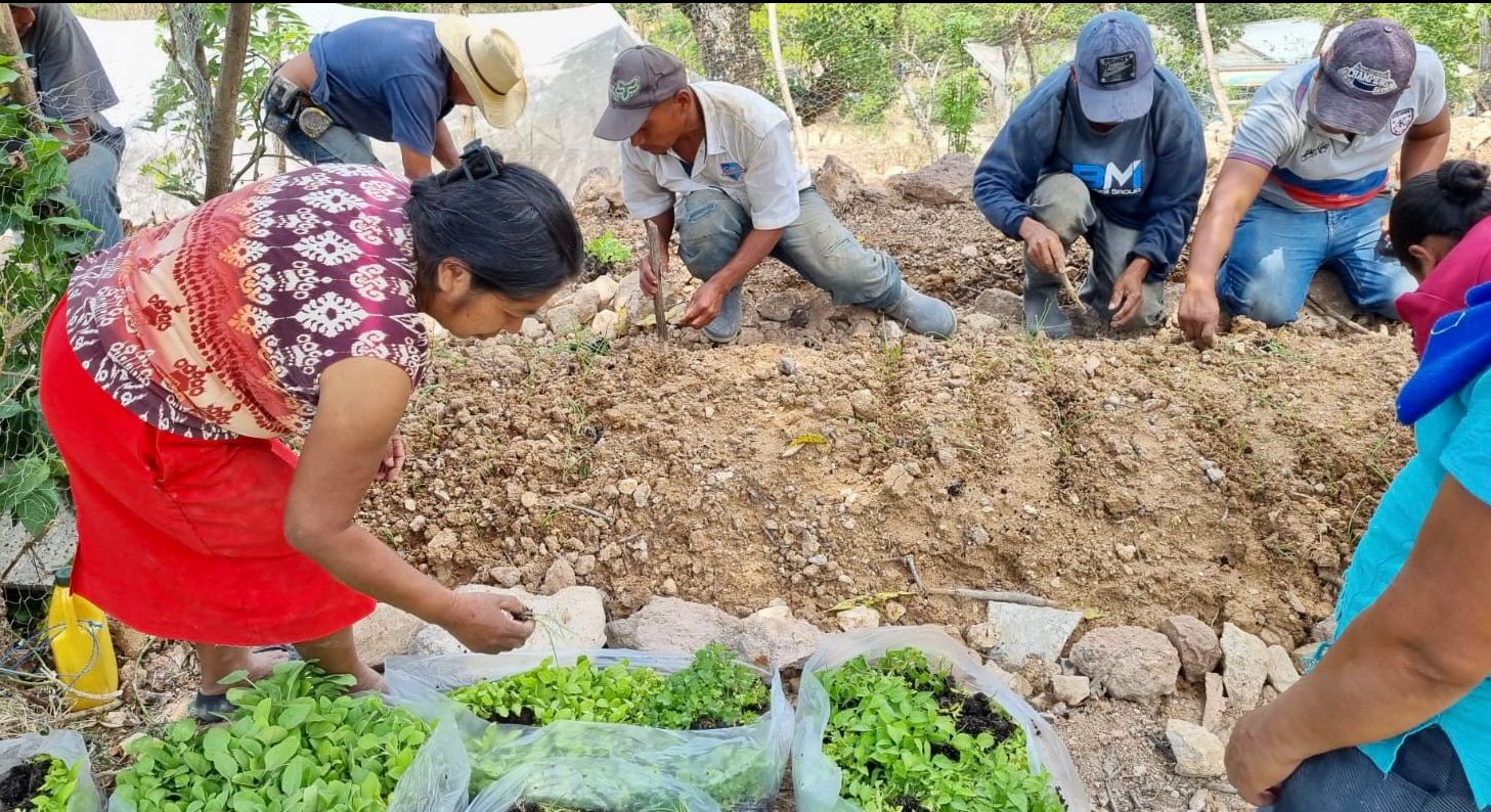 MAGA refuerza la producción de alimentos en San Juan Ermita