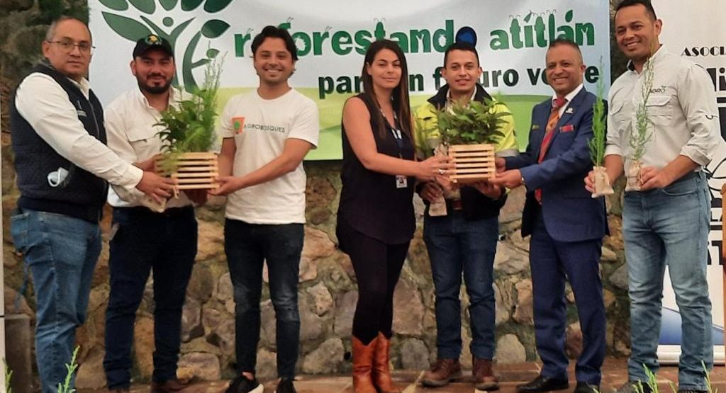 Alianza permite sembrar más de un millón de árboles en cuenca de Atitlán