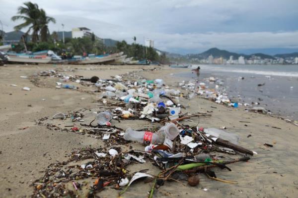 Proteger el 30 % del océano y su biodiversidad es vital para el planeta