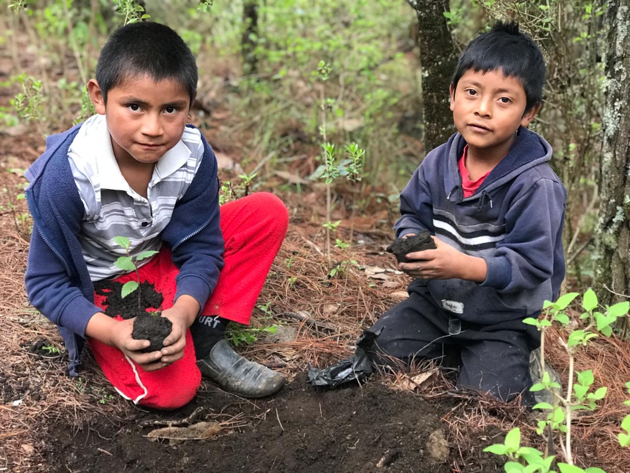 Guatemala reactiva mesa de restauración del paisaje forestal
