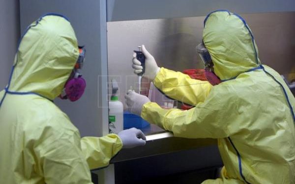 OMS eleva a 643 los casos de viruela del mono