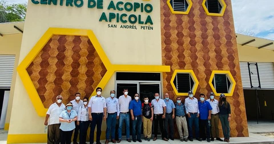 Centro de acopio apícola de San Andrés, Petén, recibe licencia sanitaria