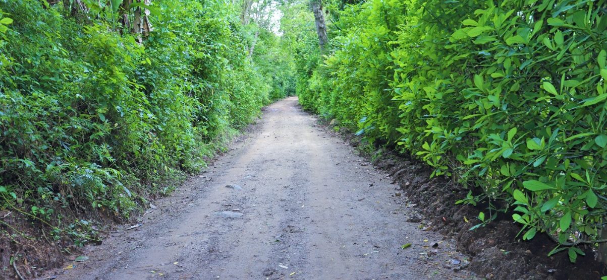 Buscan optimizar la infraestructura vial de Santa Cruz Naranjo