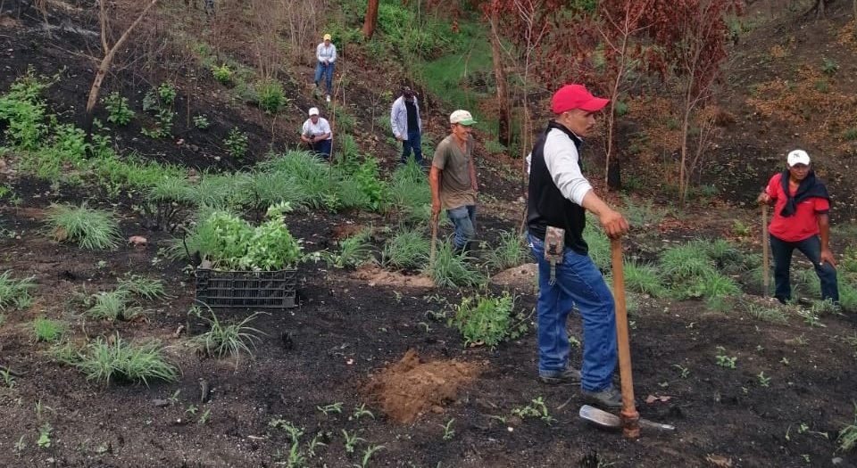 El Progreso acciona para proteger el medio ambiente