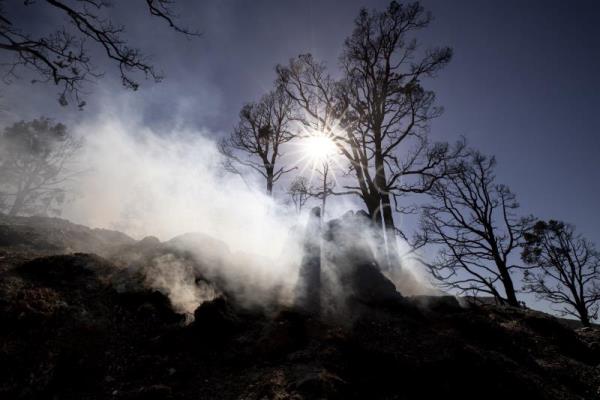 Más de 850 incendios forestales están activos en Estados Unidos al comenzar el verano