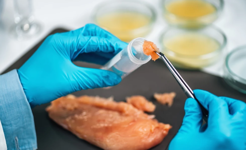Comparten recomendaciones para prevenir intoxicación por salmonela