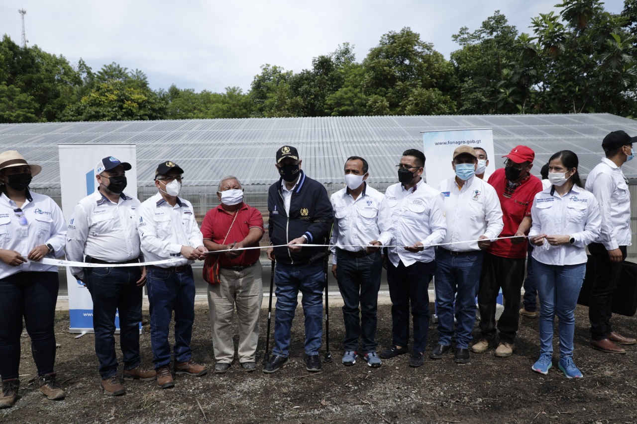 Fortalecen&nbsp;producción de cacao en Santa María Cahabón, Alta Verapaz