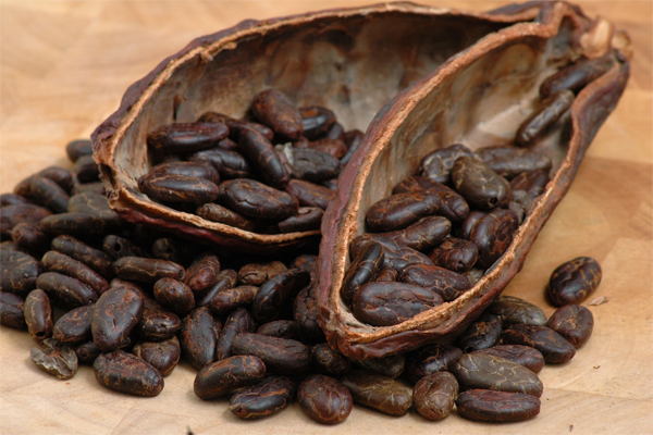 Promocionan cacao guatemalteco en Chile