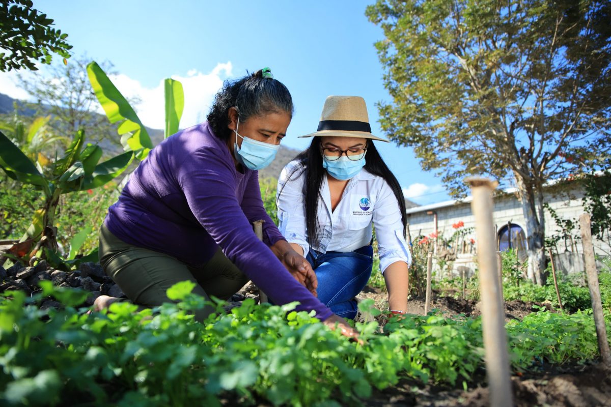 Fortalecen capacidades de más de 260 mil mujeres del área rural