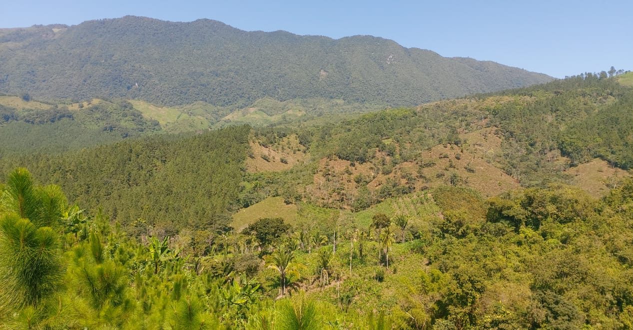Alianza impulsa restauración de paisajes forestales en Alta Verapaz